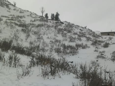snowfall in udhampur